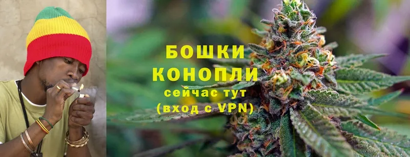 Конопля SATIVA & INDICA  Люберцы 